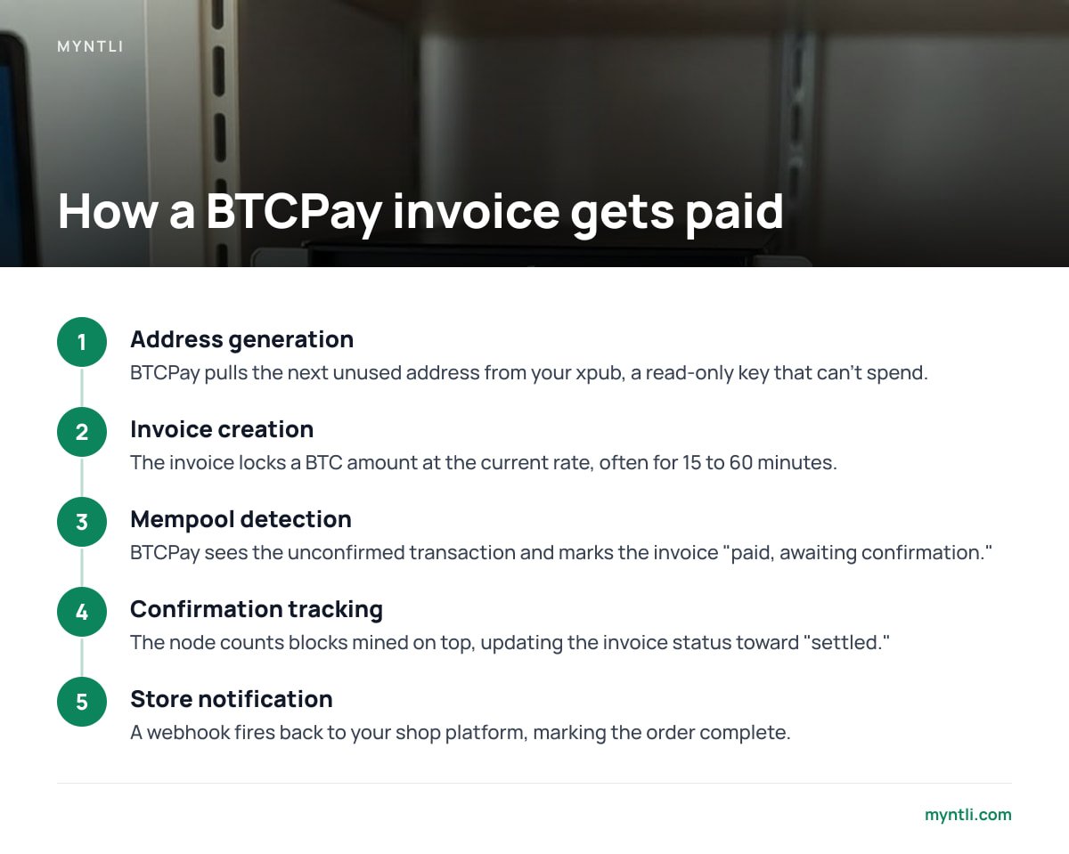 How a BTCPay invoice gets paid: 1. Address generation; 2. Invoice creation; 3. Mempool detection; 4. Confirmation tracking; 5. Store notification